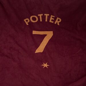 Red and Gold Potter 7 Blanket